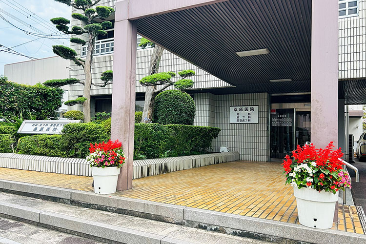 入口